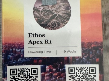 Sell: Apex R1 by Ethos