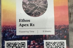 Sell: Apex R1 by Ethos