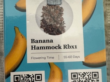 Vente: Banana Hammock RBX1 by Ethos
