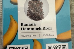 Sell: Banana Hammock RBX1 by Ethos