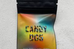Sell: Candy Dog (Fem)