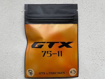 GTX 75-11 (Fem)