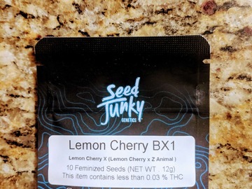 Venta: Seed Junky - Lemon Cherry BX1