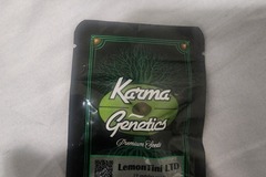 Vente: Karma Genetics lemontini .SUPER DUPER RARE    