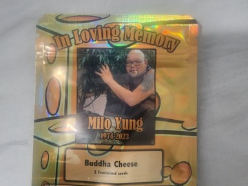 Vente: BUDDAH ORIGINAL  CHEESE   collector pack