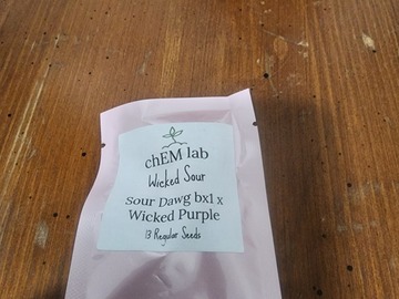 Sell: Wicked sour (Chemmalab)