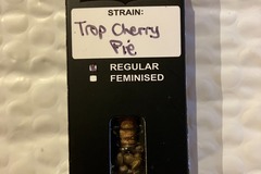 Sell: Trop Cherry Pie from Relentless