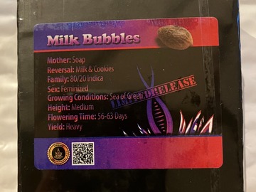 Vente: Milk Bubbles from Exotic Genetix
