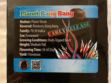 Vente: Planet Bang Bang from Exotic Genetix