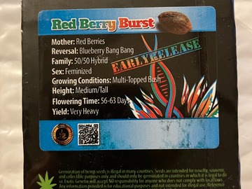 Vente: Red Berry Bursts from Exotic Genetix