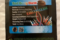 Sell: Red Berry Bursts from Exotic Genetix