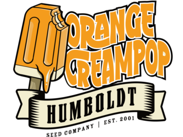Subastas: Orange CreamPop Seeds-Humboldt Seed Co. (10 Pack)