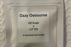 Subastas: (auction) Ozzy Osbourne from LIT Farms