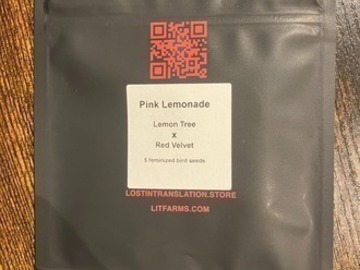 Subastas: (auction) FULL Pink Lemonade Half from LIT Farms