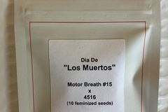 Subastas: (auction) Dia De "Los Muertos" from LIT Farms