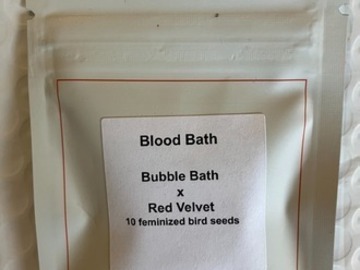 Enchères: (auction) Blood Bath from LIT Farms