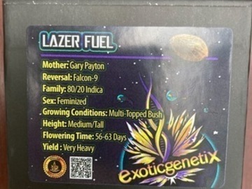 Sell: Lazer Fuel from Exotic Genetix
