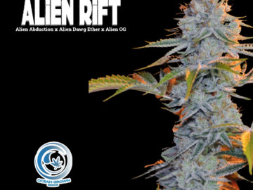 Sell: Alien Rift