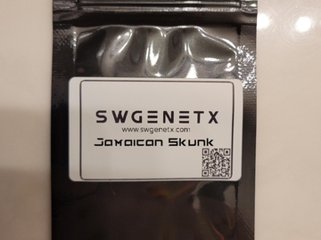 Sell: SALE - Jamaican Skunk (Skunk Cookies x Jamaican)