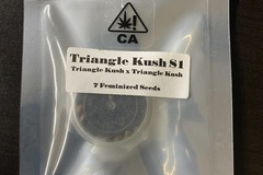 Sell: CSI Triangle Kush S1