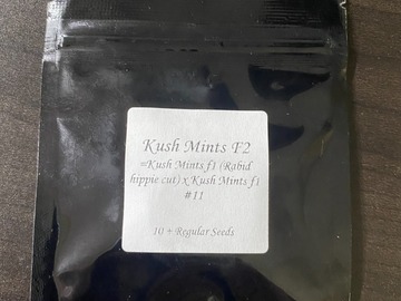 Venta: Seed Junky  Kush Mints F2
