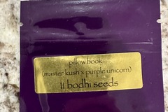 Vente: Pillowbook by Bodhi Seeds