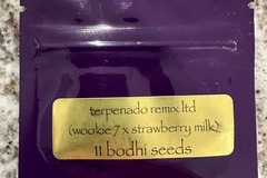 Vente: Terpenado Remix Limited by Bodhi Seeds