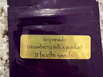 Sell: Terpenado by Bodhi Seeds