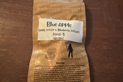 Vente: Blue Apple - Square One Genetics