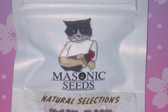 Sell: Kush Kack (Natural Selections) Masonic Seeds