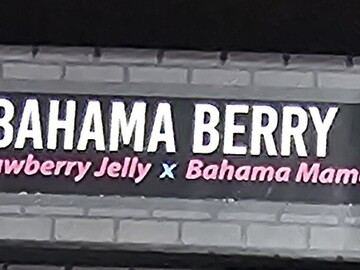 Sell: Bahama Berry, solfire