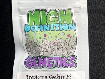 Sell: Tropicana Cookies F2 x Wilson F3 (12 Female Seeds)