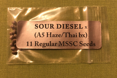 Sell: Sour Diesel x A5 Haze/Thai