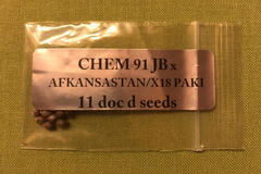 Sell: Doc D Chem 91JB x Afkanastan/X18 x Pakistan