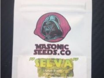 Sell: Selva - Jungle Breath x Wilson f2 - Masonic Seeds