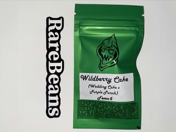 Vente: Wildberry Cake - Robin Hood Seeds