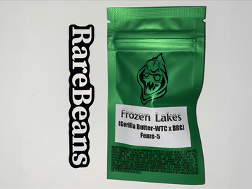 Sell: Frozen Lakes - Robin Hood Seeds