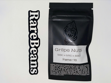 Vente: Gr8pe Nuts (Grape Nuts) - Square One Genetics