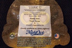 Vente: Night Owl Seeds Scoopski F2 5 pack