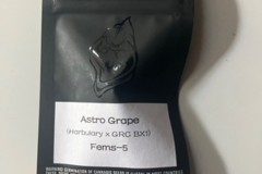 Venta: Square One Genetics- Astro Grape