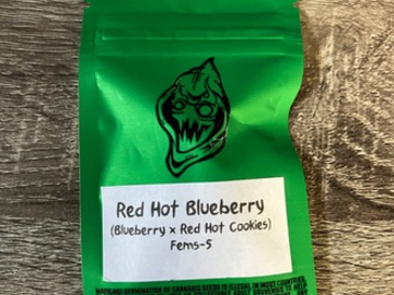 Venta: Robinhood Seeds- Red Hot Blueberry