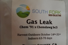 Sell: Gas leak South fork