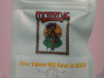 Vente: Sour Fire Tahoe Ns23 - Masonic Seeds
