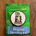 Venta: F1 Genetics - Original Blueberry F6