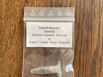 Venta: Seedheaven Seeds - Sweet Island Diesel
