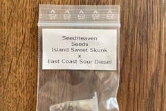 Vente: Seedheaven Seeds - Sweet Island Diesel