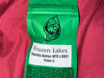 Vente: Frozen Lakes