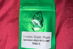 Sell: Frozen Hash Plant