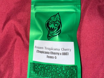 Frozen Tropicana Cherry