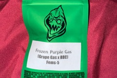 Venta: Frozen Purple Gas  - Robin Hood Seeds